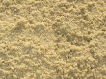 Заказать среднезернистый песок в Ломоносове